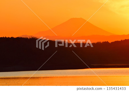 Mount Fuji in the sunset, view from the shore of Lake Sayama Mount Fuji in the sunset, view from the shore of Lake Sayama 135431433
