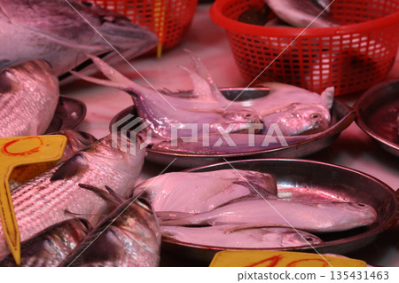 Fish sold at a market in North Point of Hong Kong Island. Many fish are unfamiliar in Japan Fish sold at a market in North Point of Hong Kong Island. Many fish are unfamiliar in Japan 135431463