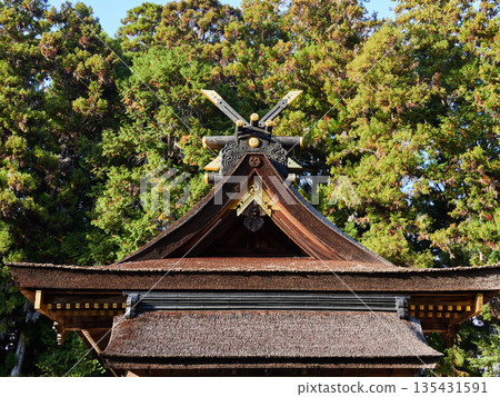 Scenery of the roof of the shrine at the tourist attraction Kumano Hayatama Taisha Scenery of the roof of the shrine at the tourist attraction Kumano Hayatama Taisha 135431591