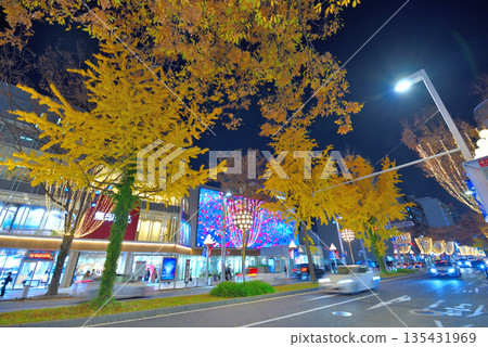 Aichi Prefecture Nagoya Cityscape Nagoya Hirokoji Express Illumination 135431969