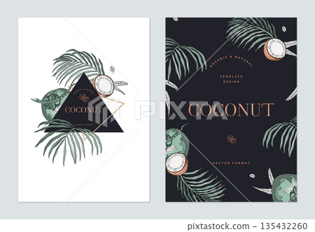 Creative poster template design, line art illustration of coconut and leaves 135432260