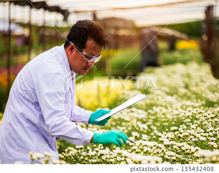 Scientist or agricultural researcher wearing lab coat and gloves examining flowers with clipboard in hand at greenhouse or farm, representing botany research, plant science, and floriculture 135432408