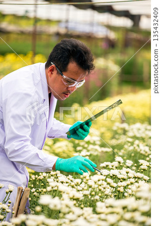 Agricultural scientist wearing lab coat and gloves inspecting white flowers with tablet in hand, representing modern farming technology, botanical research, plant science, and floriculture innovation 135432409