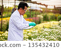 Agricultural scientist in lab coat and gloves writing notes on clipboard while observing blooming flowers in a greenhouse, symbolizing plant research, floriculture, and sustainable agriculture 135432410