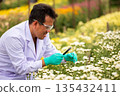 Agricultural scientist wearing lab coat and gloves closely examining white flowers with tools in flower field, representing plant biology research, floriculture innovation, and sustainable agriculture 135432411