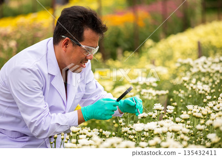 Agricultural scientist wearing lab coat and gloves closely examining white flowers with tools in flower field, representing plant biology research, floriculture innovation, and sustainable agriculture Agricultural scientist wearing lab coat and gloves closely examining white flowers with tools in flower field, representing plant biology research, floriculture innovation, and sustainable agriculture 135432411