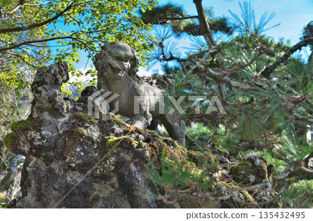 龜甲神社的狛犬 龜甲神社的狛犬 135432495
