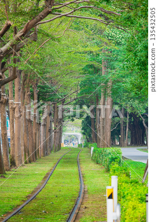 台灣綠隧道圖片 135432505