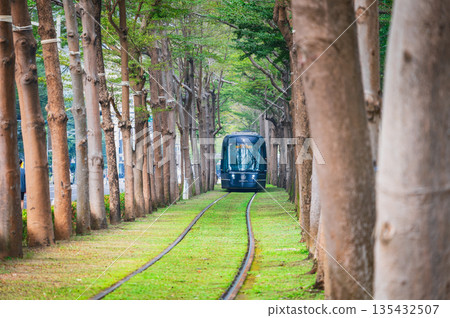 Green Tunnel and Tram Taiwan Green Tunnel and Tram Taiwan 135432507
