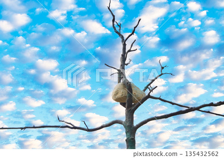 利雅德國家博物館景色 135432562