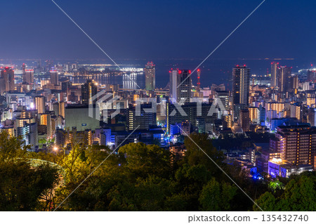 兵庫縣:黎明前神戶維納斯橋與諏訪山公園展望台的夜景 兵庫縣:黎明前神戶維納斯橋與諏訪山公園展望台的夜景 135432740