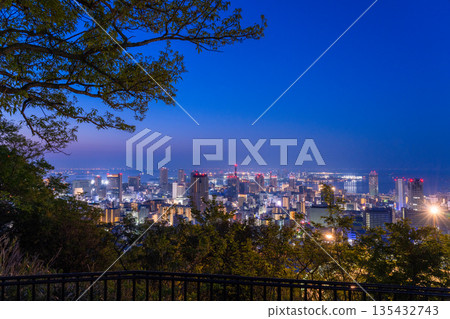 Hyogo Prefecture: Night view of Kobe Venus Bridge and Suwayama Park Observatory before dawn 135432743