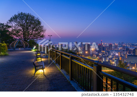 兵庫縣:黎明前神戶維納斯橋與諏訪山公園展望台的夜景 兵庫縣:黎明前神戶維納斯橋與諏訪山公園展望台的夜景 135432748