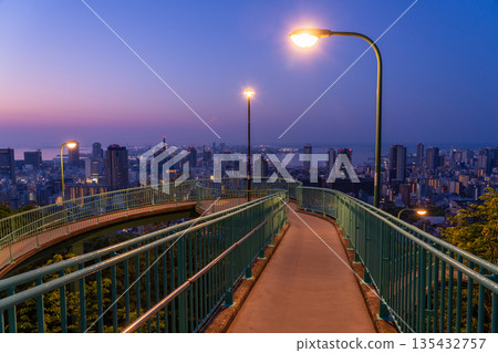 Hyogo Prefecture: Night view of Kobe Venus Bridge and Suwayama Park Observatory before dawn Hyogo Prefecture: Night view of Kobe Venus Bridge and Suwayama Park Observatory before dawn 135432757