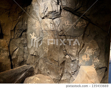 拉薩的托姆帕文字 135433669