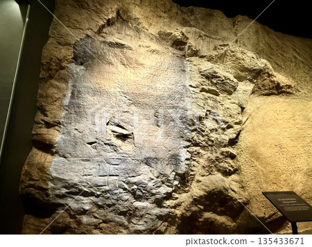 西藏博物館藏品 135433671