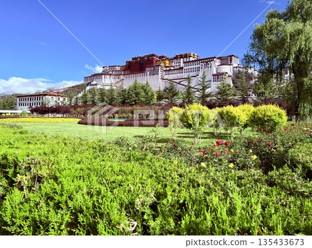 Alpine plants and the Potala Palace Alpine plants and the Potala Palace 135433673