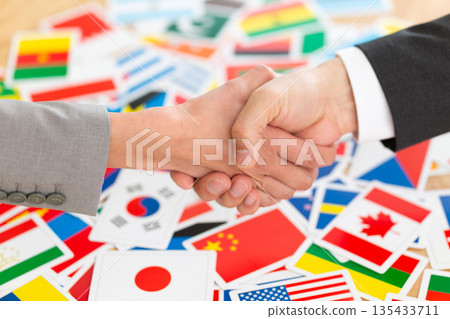 Businessmen shaking hands and many flags Businessmen shaking hands and many flags 135433711