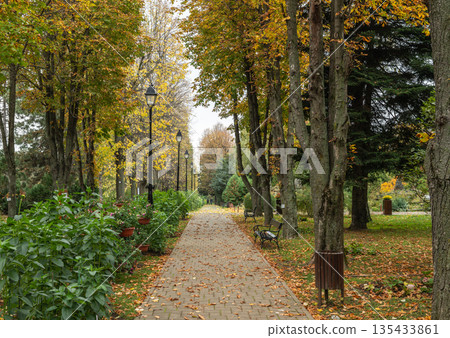 Autumn Path With Fallen Leaves In Iasi Botanical Garden Romania Autumn Path With Fallen Leaves In Iasi Botanical Garden Romania 135433861