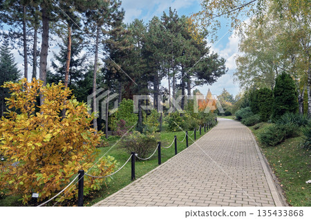 Winding Stone Path Among Tall Pine Trees In Autumn Garden 135433868