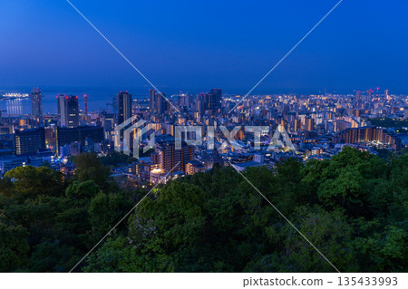 兵庫縣:黎明前神戶維納斯橋與諏訪山公園展望台的夜景 兵庫縣:黎明前神戶維納斯橋與諏訪山公園展望台的夜景 135433993