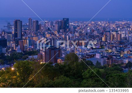 兵庫縣：黎明前神戶維納斯橋與諏訪山公園展望台的夜景 135433995