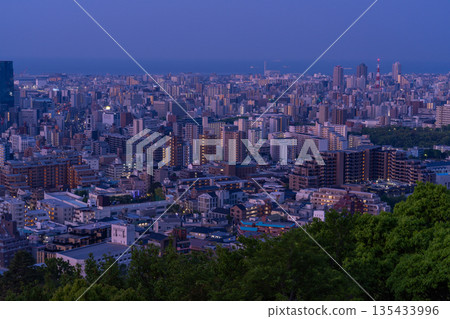 兵庫縣：黎明前神戶維納斯橋與諏訪山公園展望台的夜景 135433996