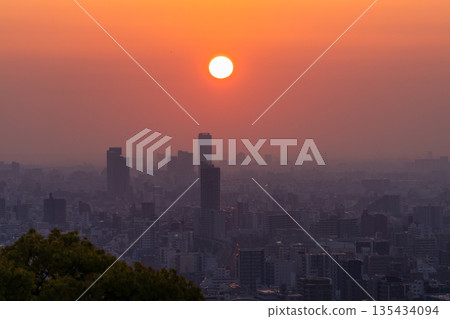 Hyogo Prefecture: Kobe Venus Bridge and Suwayama Park Observatory at dawn 135434094