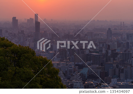 兵庫縣：黎明時分的神戶維納斯橋與諏訪山公園展望台 135434097