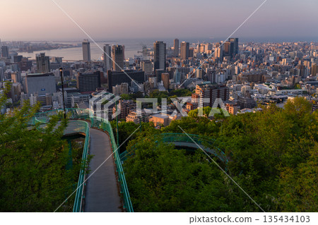 Hyogo Prefecture: Kobe Venus Bridge and Suwayama Park Observatory at dawn 135434103