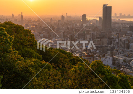 兵庫縣:黎明時分的神戶維納斯橋與諏訪山公園展望台 兵庫縣:黎明時分的神戶維納斯橋與諏訪山公園展望台 135434106