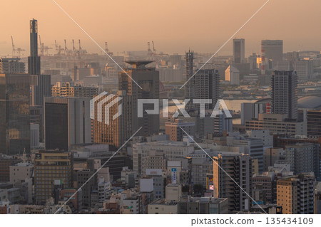 兵庫縣:黎明時分的神戶維納斯橋與諏訪山公園展望台 兵庫縣:黎明時分的神戶維納斯橋與諏訪山公園展望台 135434109