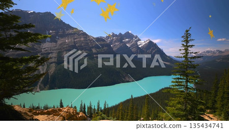 Revealing turquoise lake curving through alpine valley, with outcrop and pine trees framing view 135434741