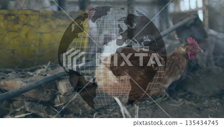 Reddish-brown hen pecking straw-covered coop floor inside wire-mesh fence, with globe overlay Reddish-brown hen pecking straw-covered coop floor inside wire-mesh fence, with globe overlay 135434745
