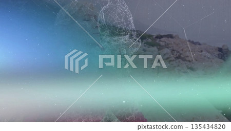 Contemplating female wireframe merging with rocky shoreline, featuring pastel gradient node network Contemplating female wireframe merging with rocky shoreline, featuring pastel gradient node network 135434820
