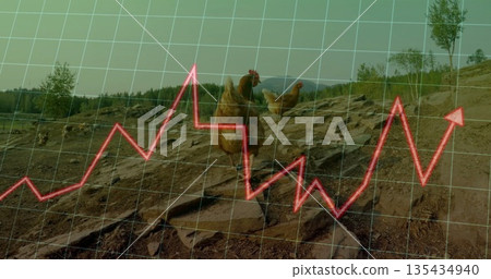 Foraging brown hen scratching rocky hillside, with saplings, grid overlay and red trend arrow Foraging brown hen scratching rocky hillside, with saplings, grid overlay and red trend arrow 135434940
