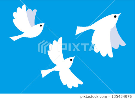 Pigeons flying in the sky 135434976