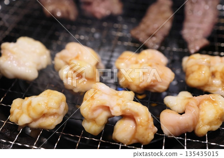 Tetchan（荷爾蒙） 135435015