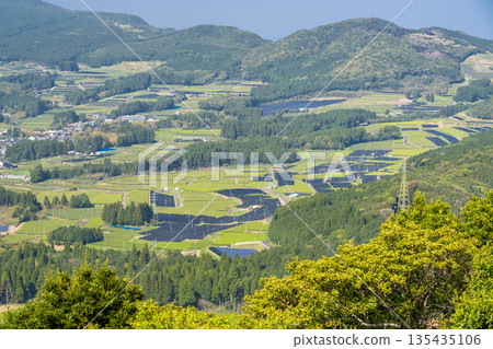 <Kagoshima Prefecture> Vast tea plantation landscape, Minamikyushu City 135435106