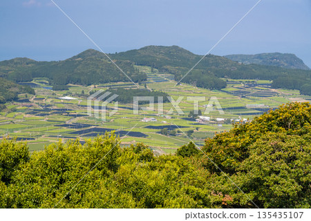 <鹿兒島縣> 南九州市廣闊的茶園景觀 135435107