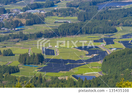 <Kagoshima Prefecture> Vast tea plantation landscape, Minamikyushu City <Kagoshima Prefecture> Vast tea plantation landscape, Minamikyushu City 135435108