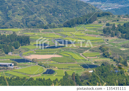 <鹿兒島縣> 南九州市廣闊的茶園景觀 <鹿兒島縣> 南九州市廣闊的茶園景觀 135435111