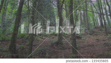 Displaying transparent bar chart overlay on forest slope, with grid lines, tree trunks and labels Displaying transparent bar chart overlay on forest slope, with grid lines, tree trunks and labels 135435605