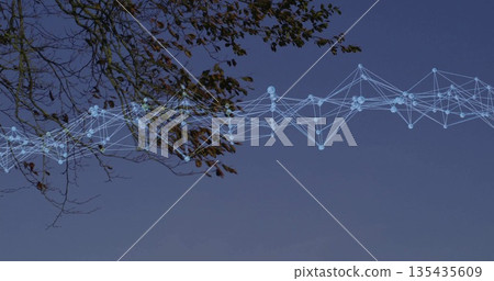 Displaying translucent blue network graph overlay over dusky twilight sky with bare tree branch Displaying translucent blue network graph overlay over dusky twilight sky with bare tree branch 135435609