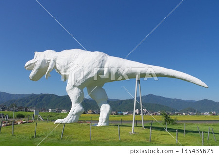 白色的Saurus 135435675