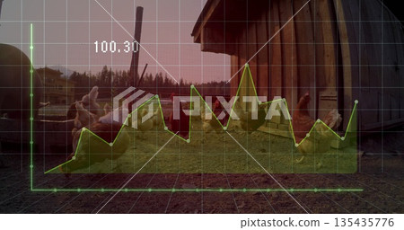 Displaying line graph overlay above flock of hens and rooster in rural farm yard 135435776