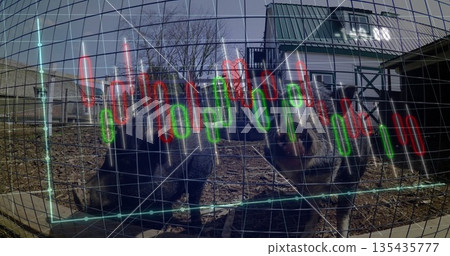 Two wombats pressing against wire mesh fence in sanctuary, with financial candlestick chart overlay Two wombats pressing against wire mesh fence in sanctuary, with financial candlestick chart overlay 135435777