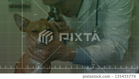 Inspecting veterinarian wearing coat examining dog ear on exam table in vet clinic, using otoscope Inspecting veterinarian wearing coat examining dog ear on exam table in vet clinic, using otoscope 135435779