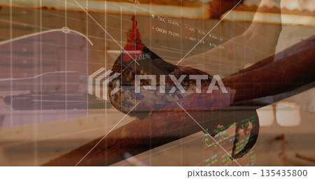Perching rooster balancing on wooden beam inside barn, with stock market line graph overlays Perching rooster balancing on wooden beam inside barn, with stock market line graph overlays 135435800