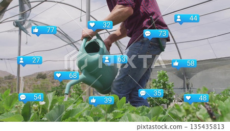 Kneeling gardener in burgundy shirt watering strawberry rows in greenhouse with can, social icons 135435813